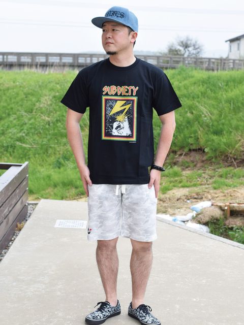 ミクスチャー!