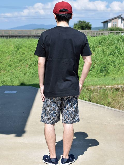 実はコラボ!