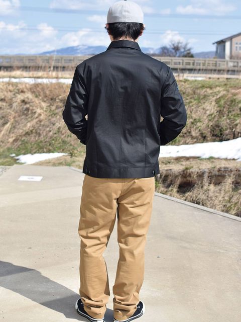 春だにゃー