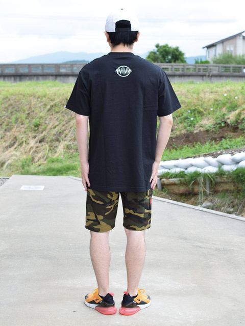 待望のNEWグラフィック!
