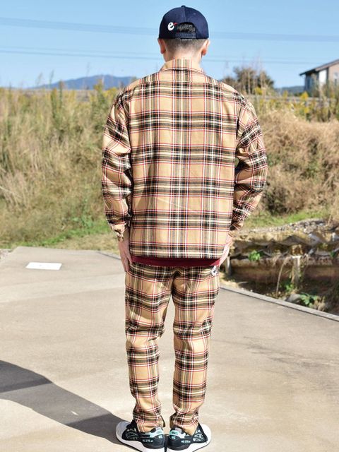 チェックセットアップ!