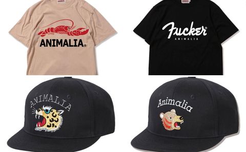 《ANIMALIA》新作入荷！
