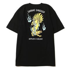 13TALED FOX T