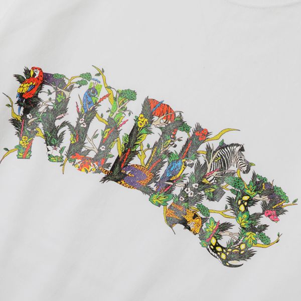 SAFARI PHAT-T