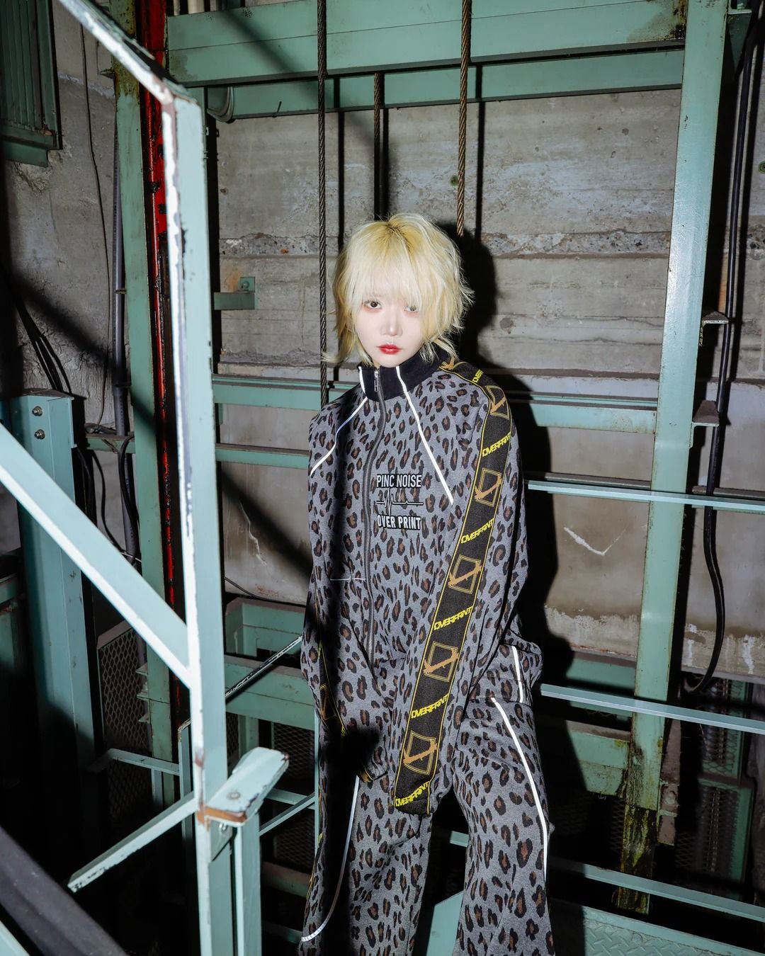 PINC NOISE LEOPARD SET-UP