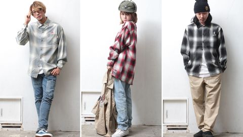 《ANIMALIA 》新作入荷！