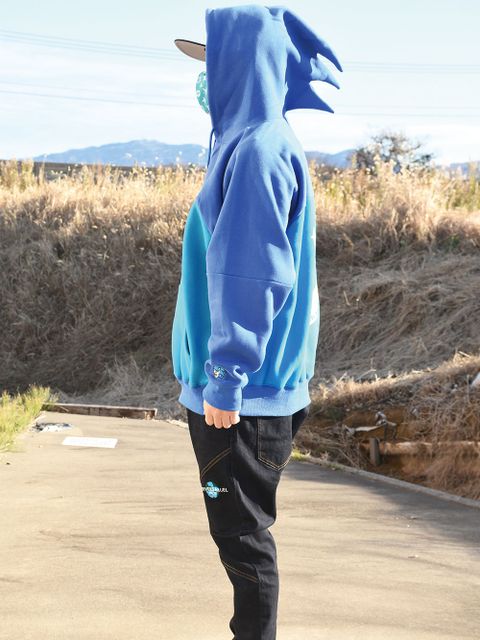 ソニック!