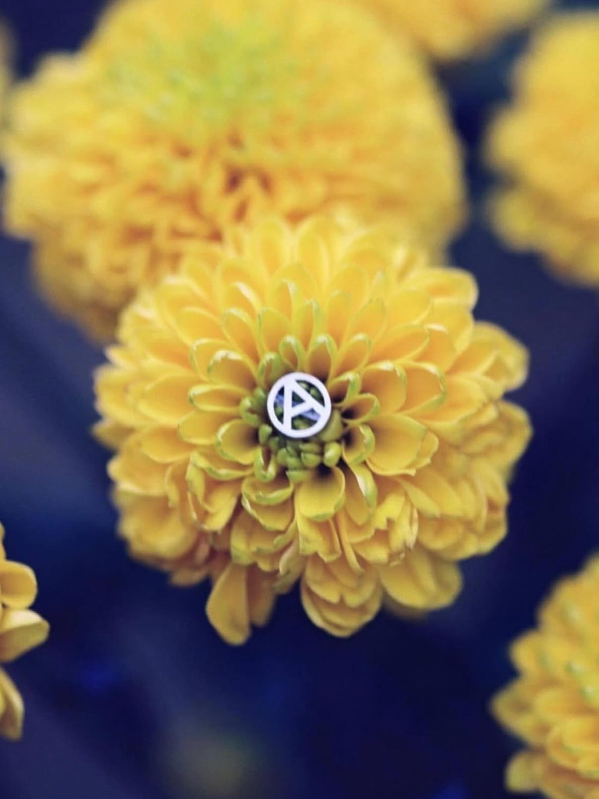 Tiny A Pierce Silver