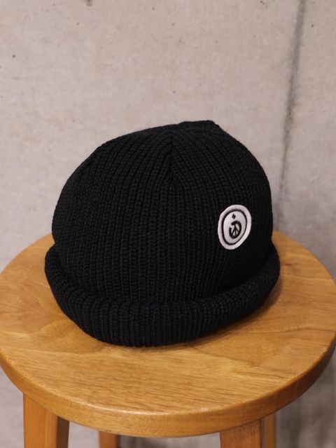 Roll Knit Beanie