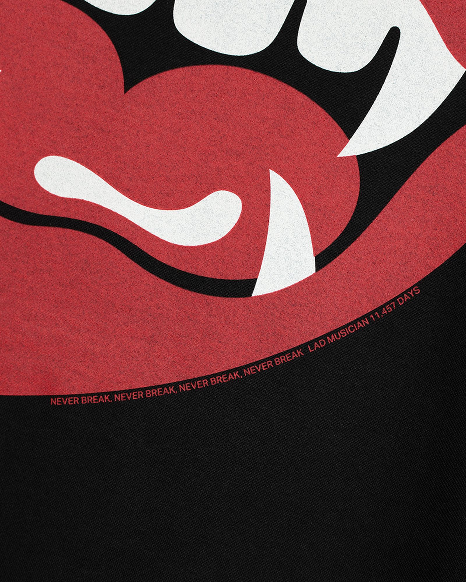PERMANENT ROCKER PRINT T-SHIRT / Tシャツ / ブラック / 2226-805