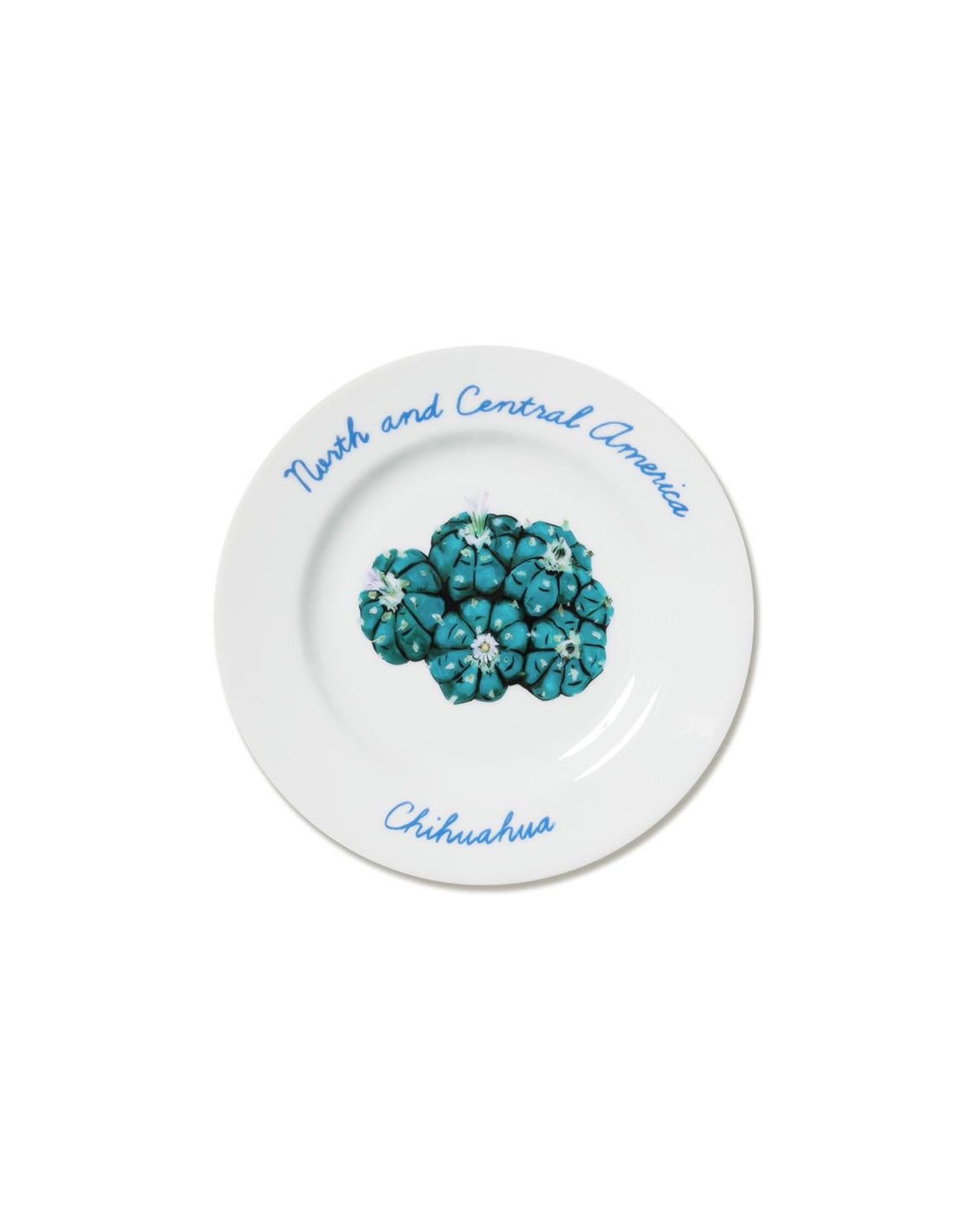 "North and Central America" Plate Set