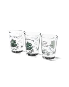 "Agave" Shot Glass Set