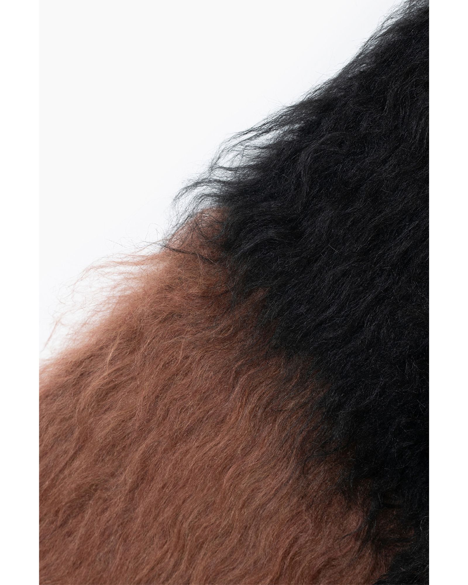 Shaggy Border Knit Pullover