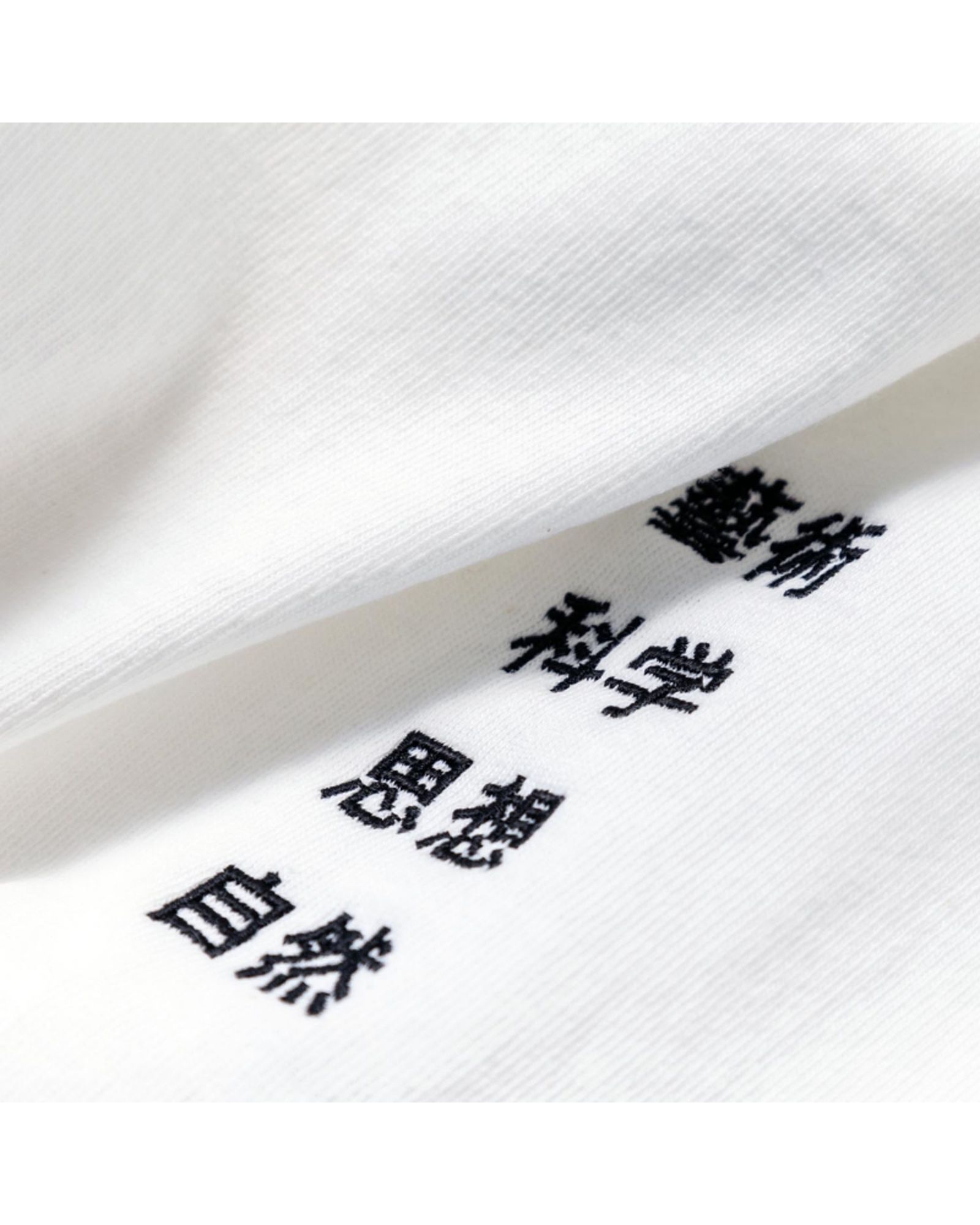 藝術科学思想自然