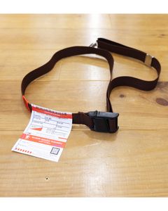 Suspender Belt