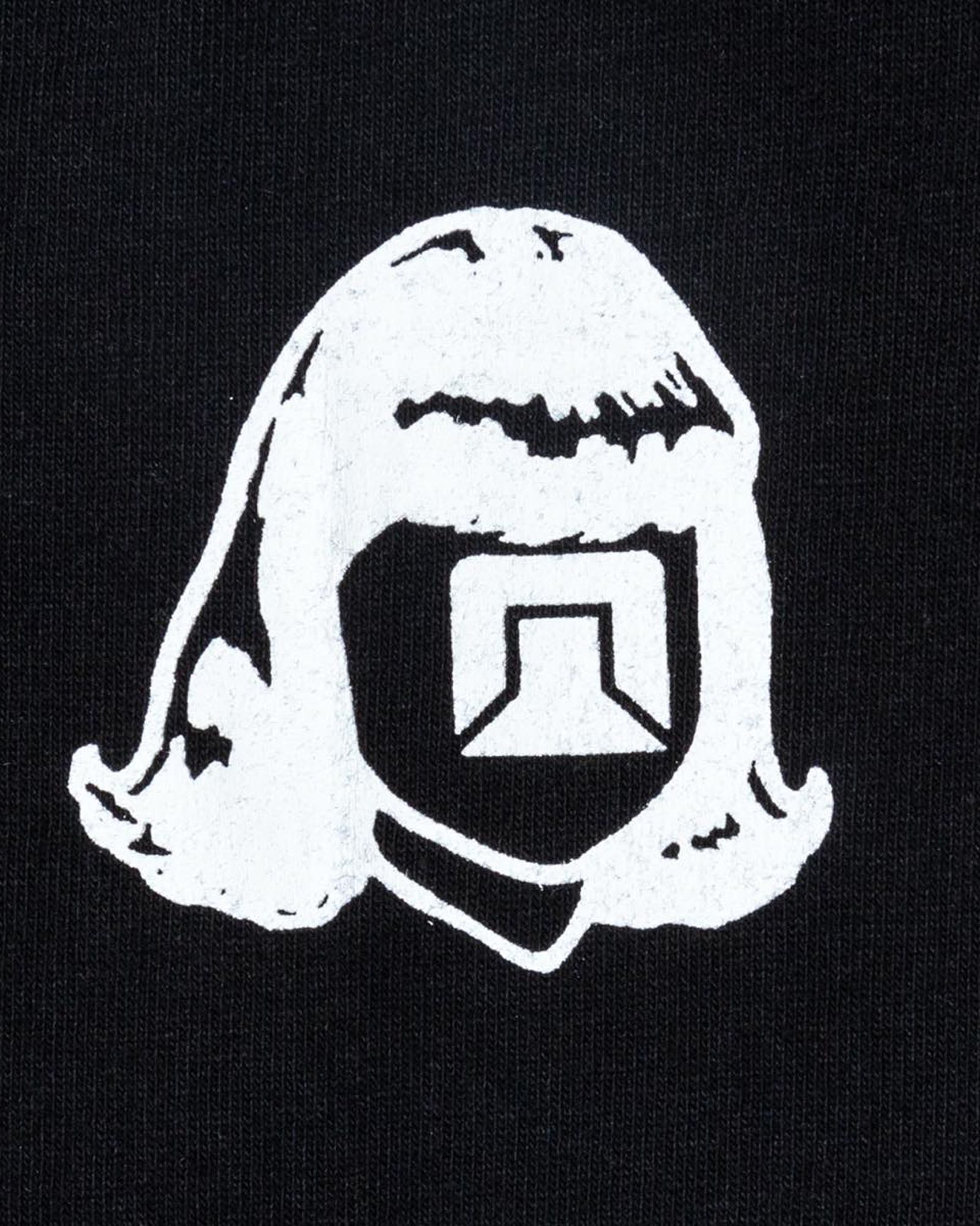 TACOMA FUJI LOGO SLEEVE LS shirt