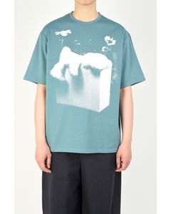 Big T-shirt