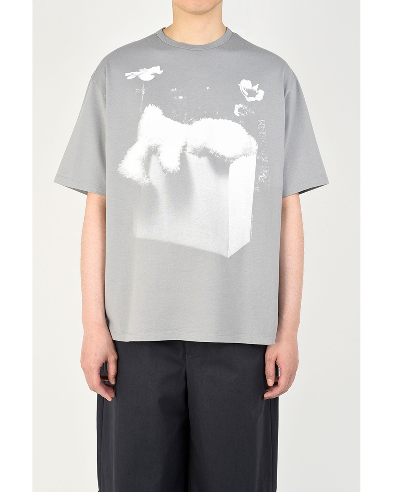 Big T-shirt