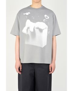 Big T-shirt