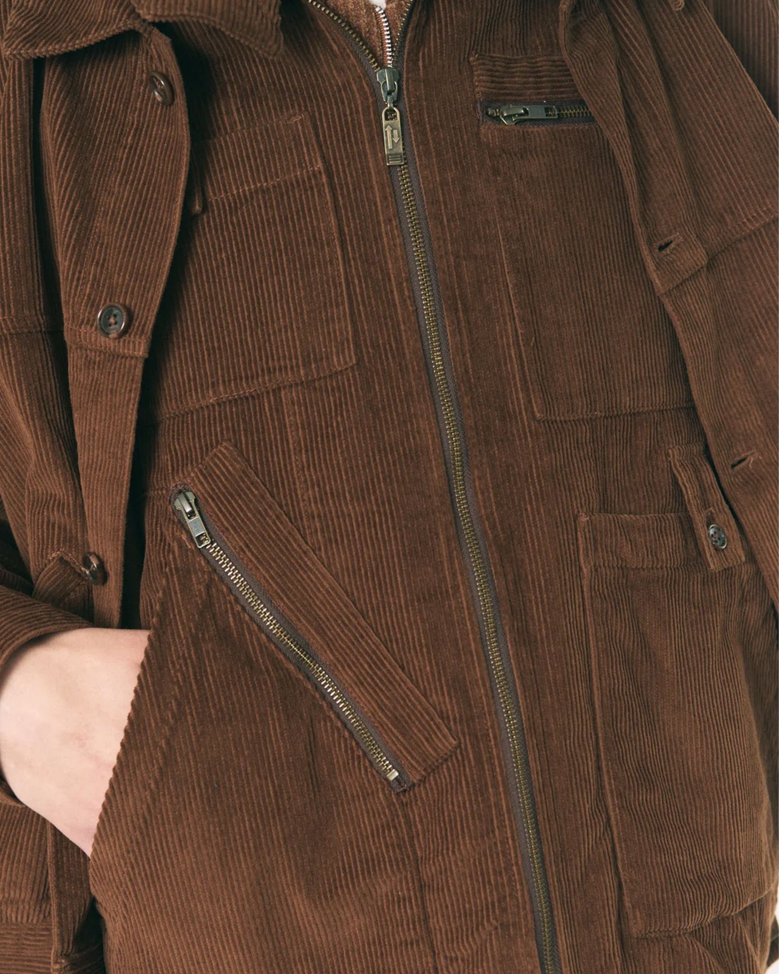 Double Cord Jacket / コーデュロイジャケット / ブラウン / PD-262-JK-041