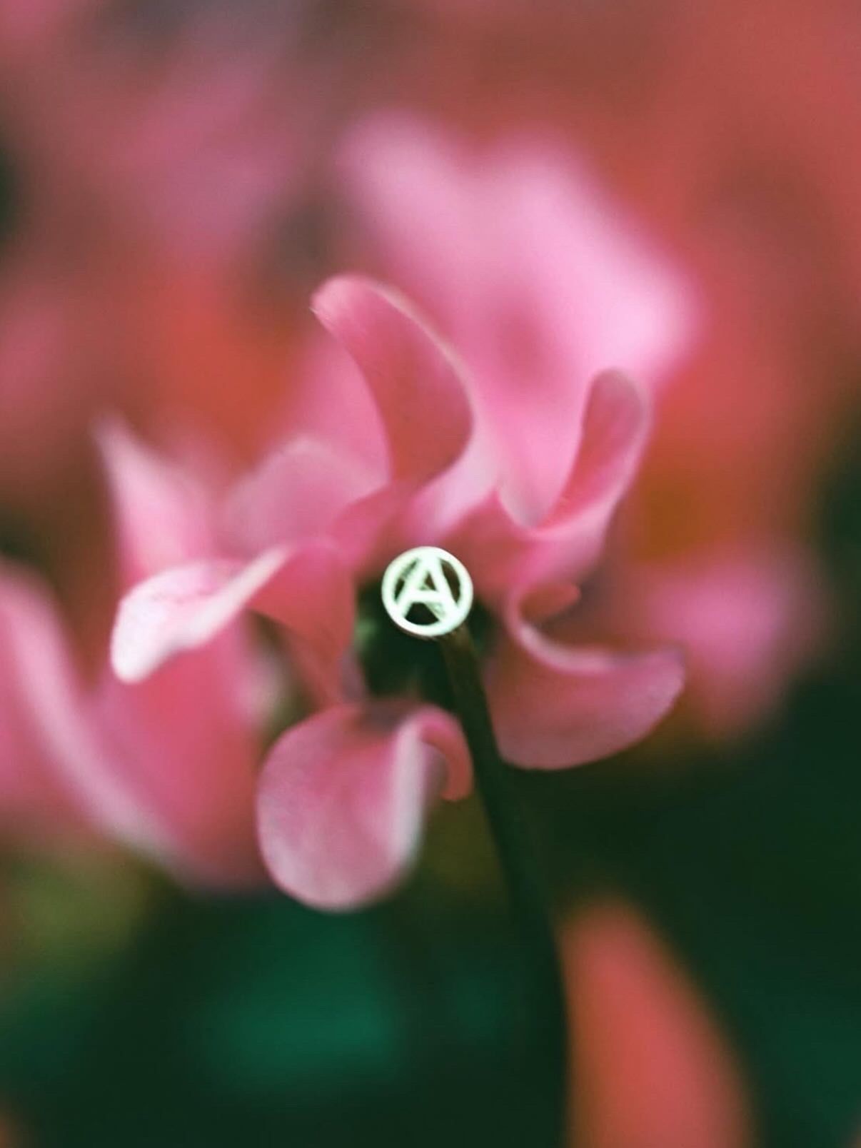 Tiny A Pierce Silver