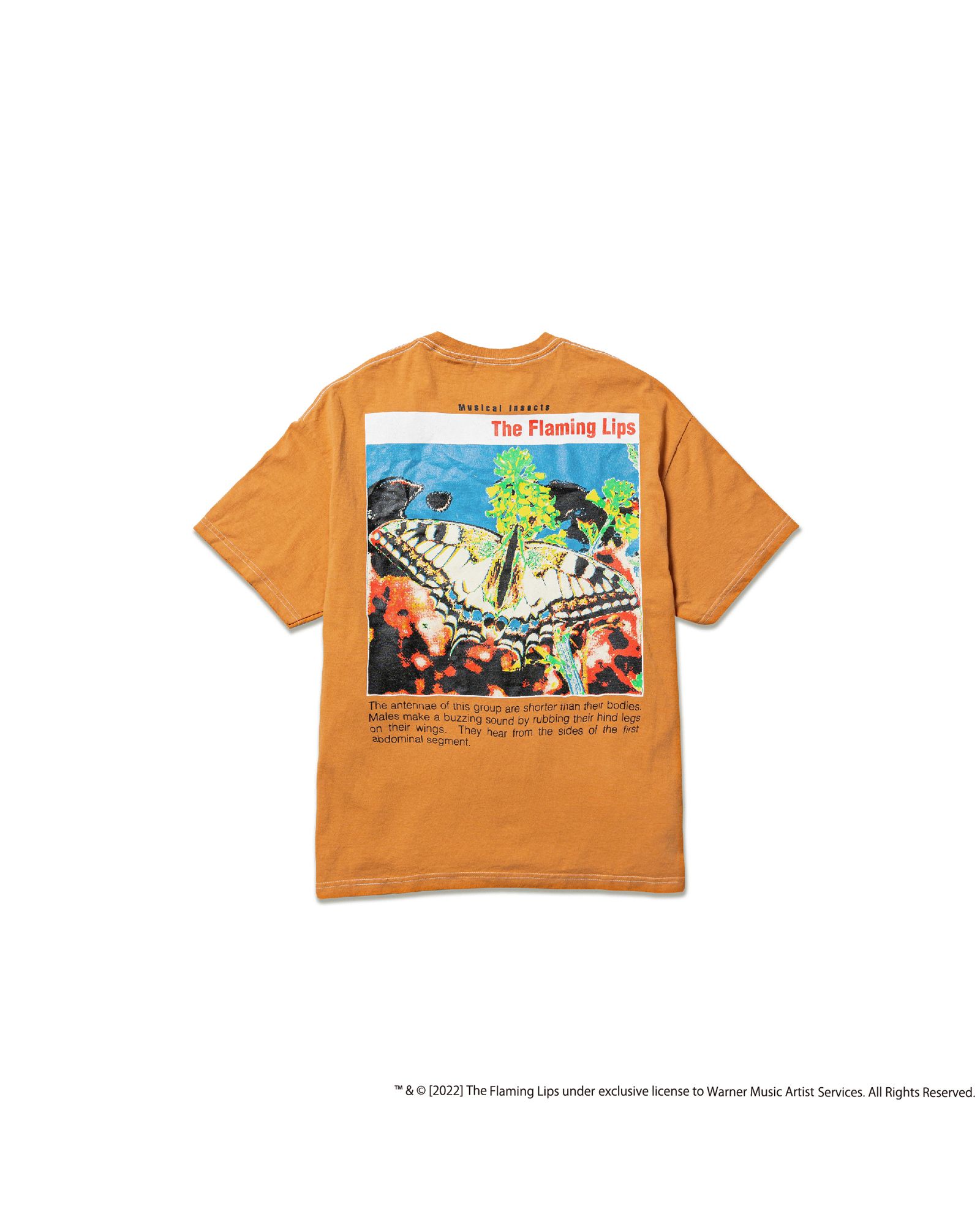 年末のプロモーション特価！ the オレンジ Tシャツ lips flaming ミュージシャン