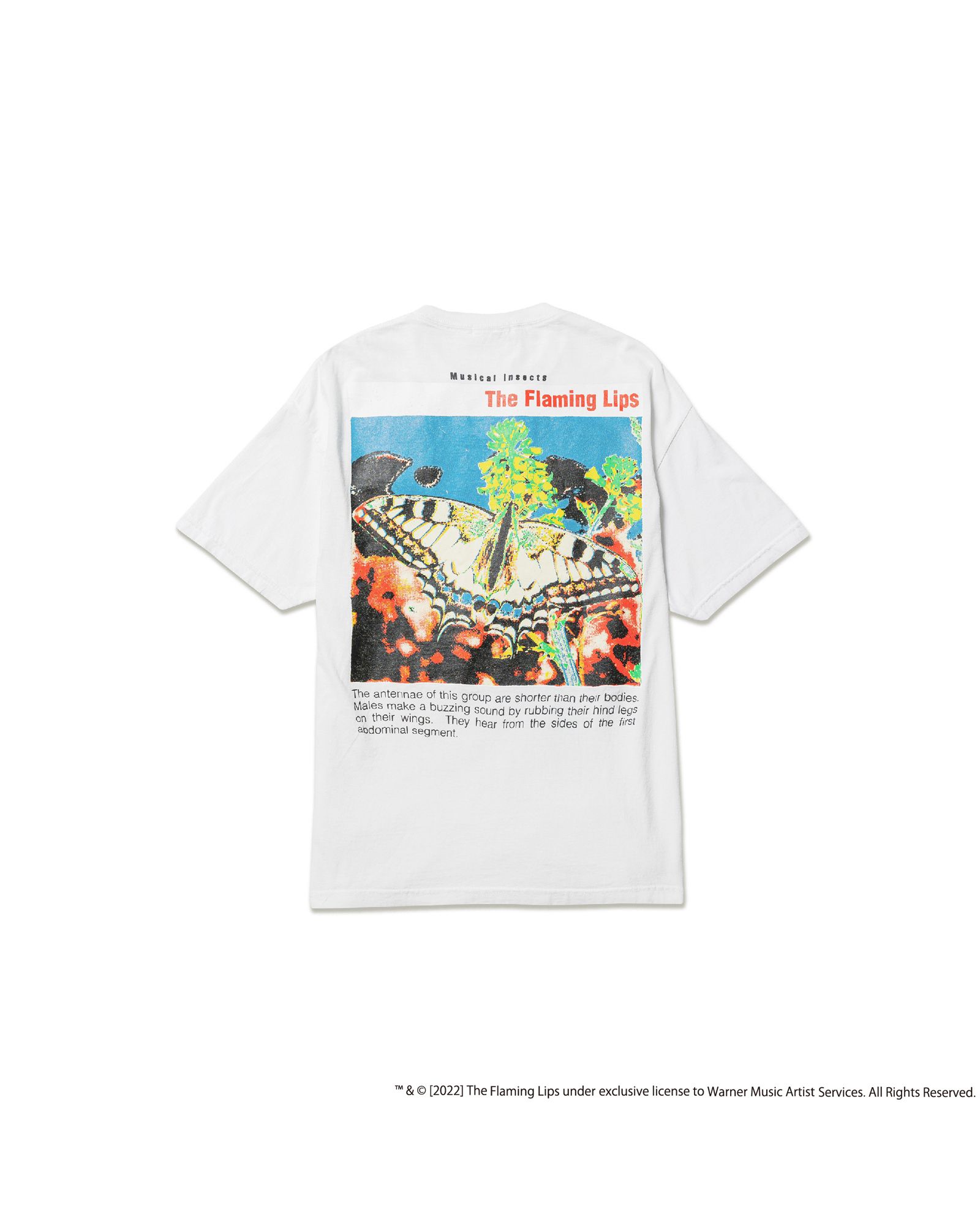 "ANGEL" Tee