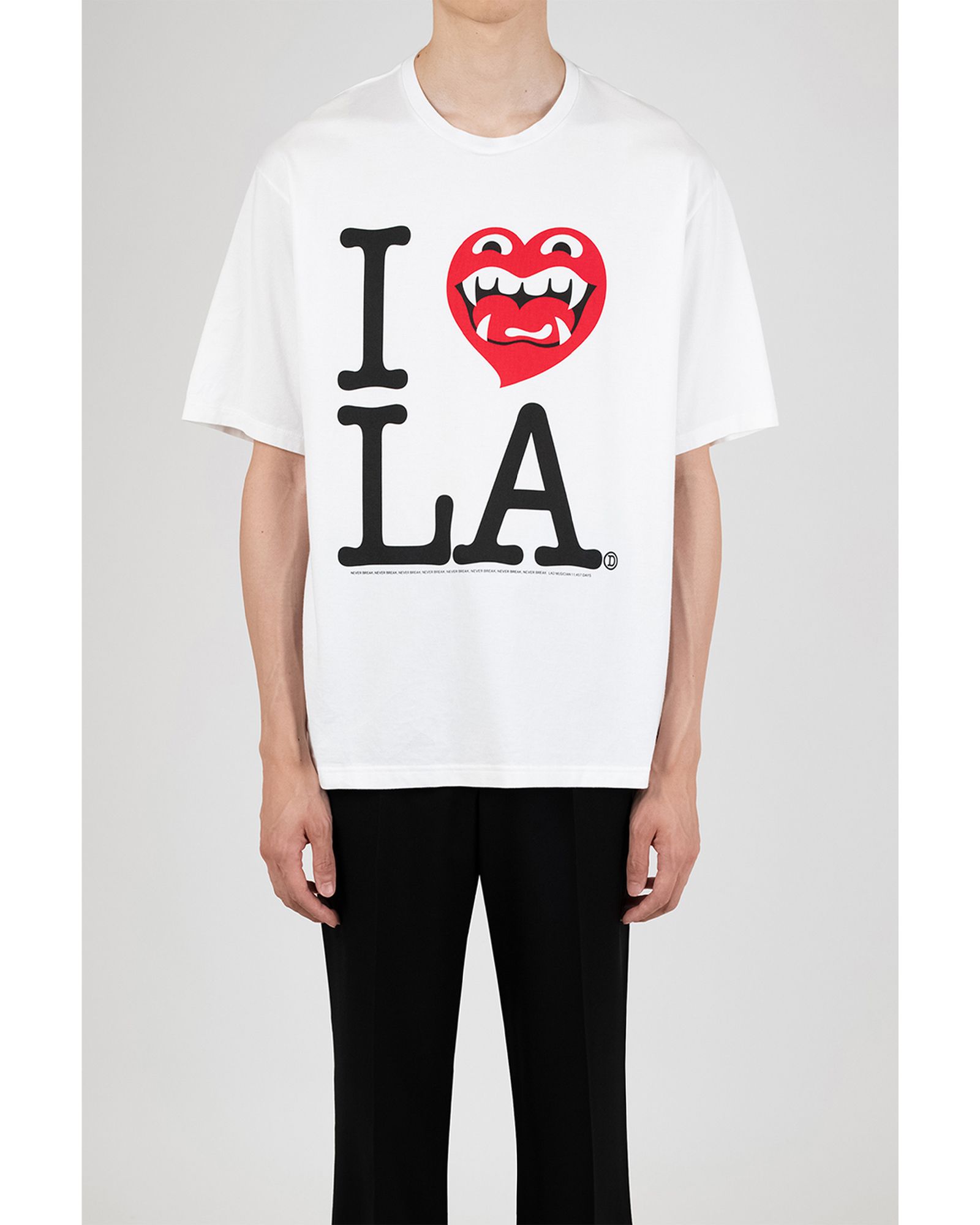 PERMANENT ROCKER PRINT T-SHIRT / Tシャツ / ホワイト / 2226-804