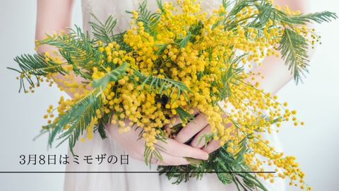 大切な人へミモザを贈ろう！3月8日はミモザの日