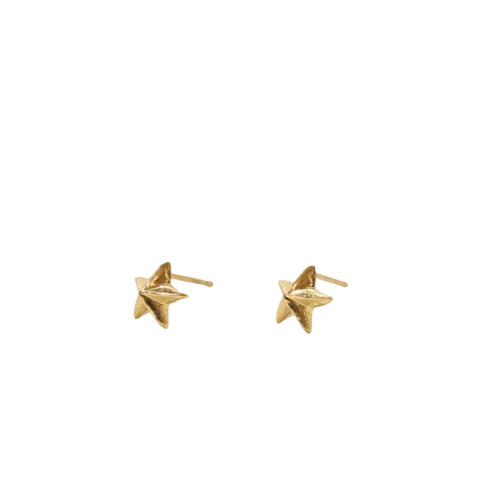 【フェア限定】星 スタッズピアス (K18)