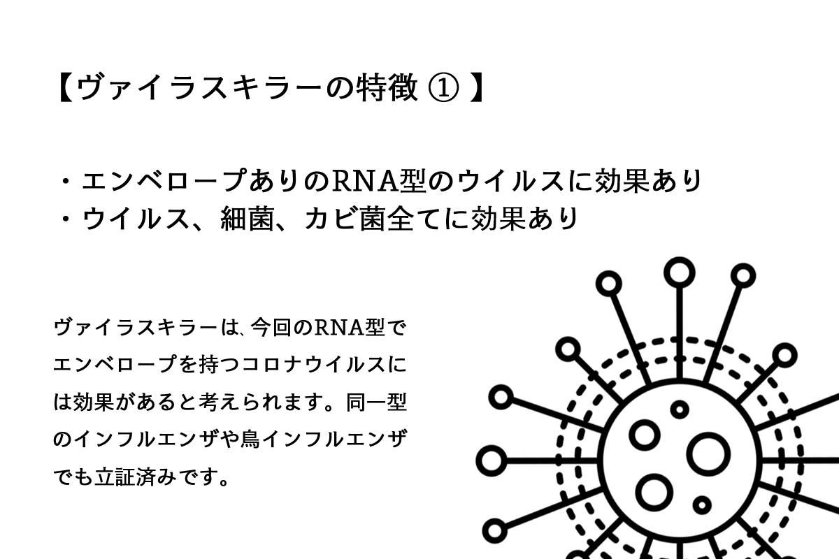 【取り寄せ商品】ヴァイラスキラー(10本セット)