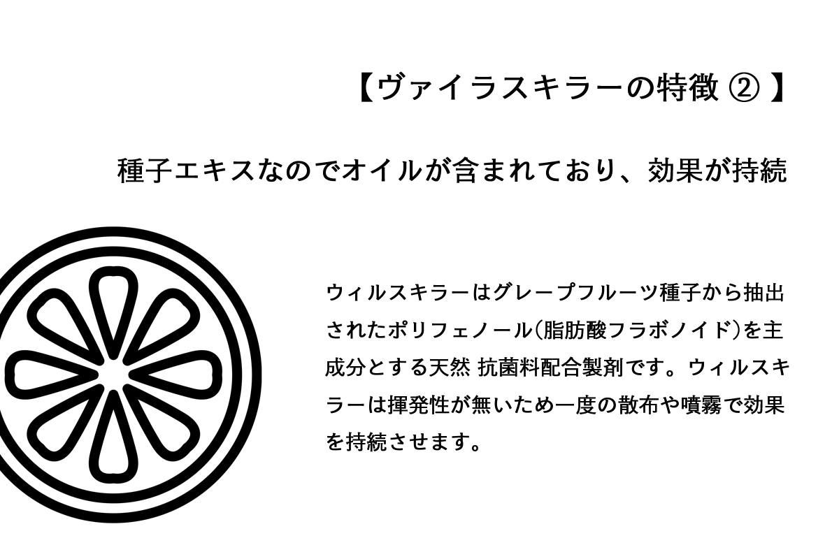 【取り寄せ商品】ヴァイラスキラー(10本セット)