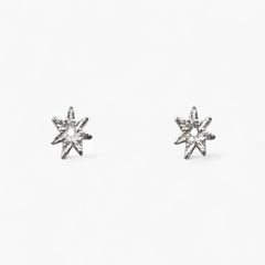 【即日発送可】スペクトラム ピアス(シルバー)