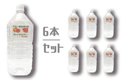 【取り寄せ商品】ヴァイラスキラー詰め替え2Lボトル(6本セット)