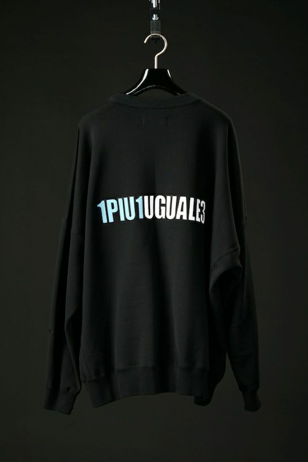 【113SPORT VOL.12 / 24AW】 113SPORT × THESAINT HEAVY FRENCH BIG CREW PO / 113ロゴ  ビッグクルー ブラック