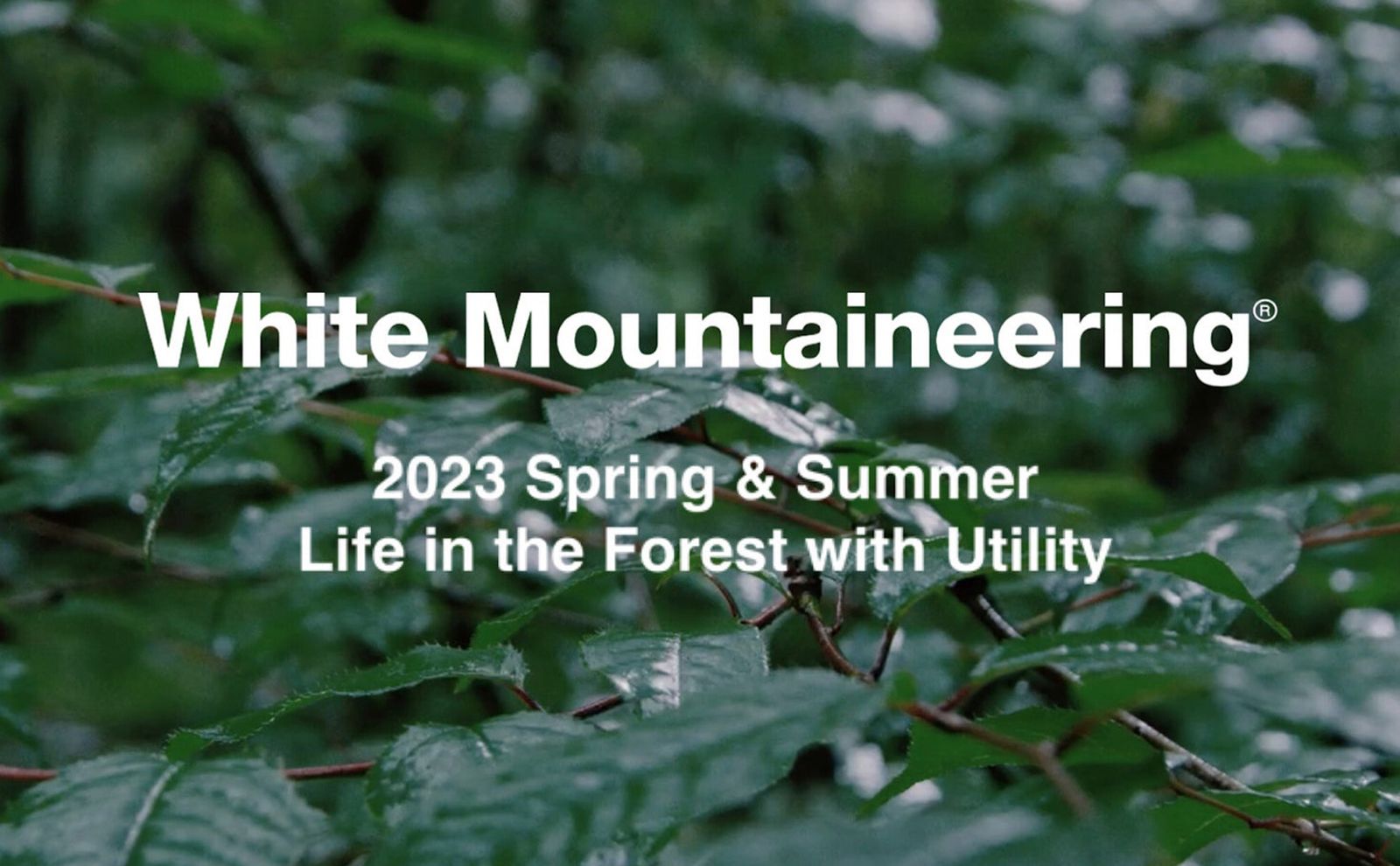 White Mountaineering - ホワイトマウンテニアリング | 正規通販《gossip》