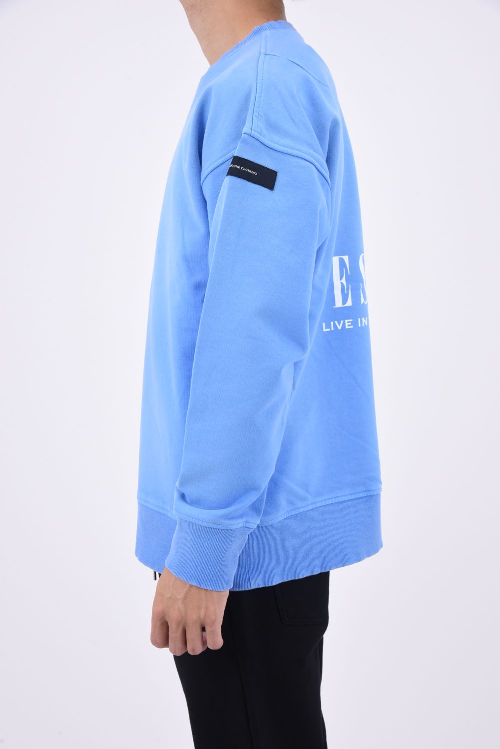 VINTEAGE BACK ROGO TRAINER / バックロゴ トレーナー ヴィンテージサックス