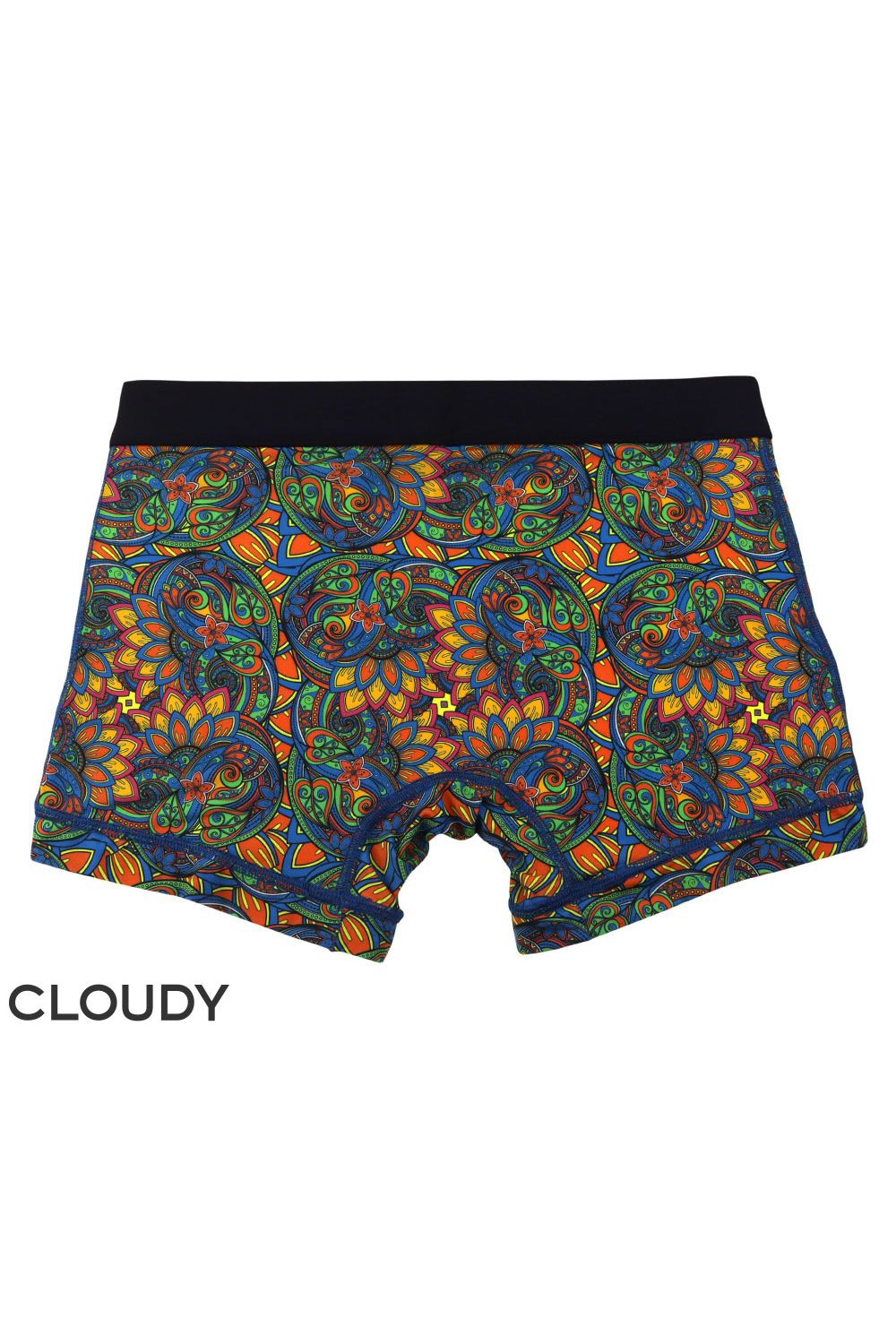 【gravevault x CLOUDY】 FLORATICA Short Boxer - ブルー