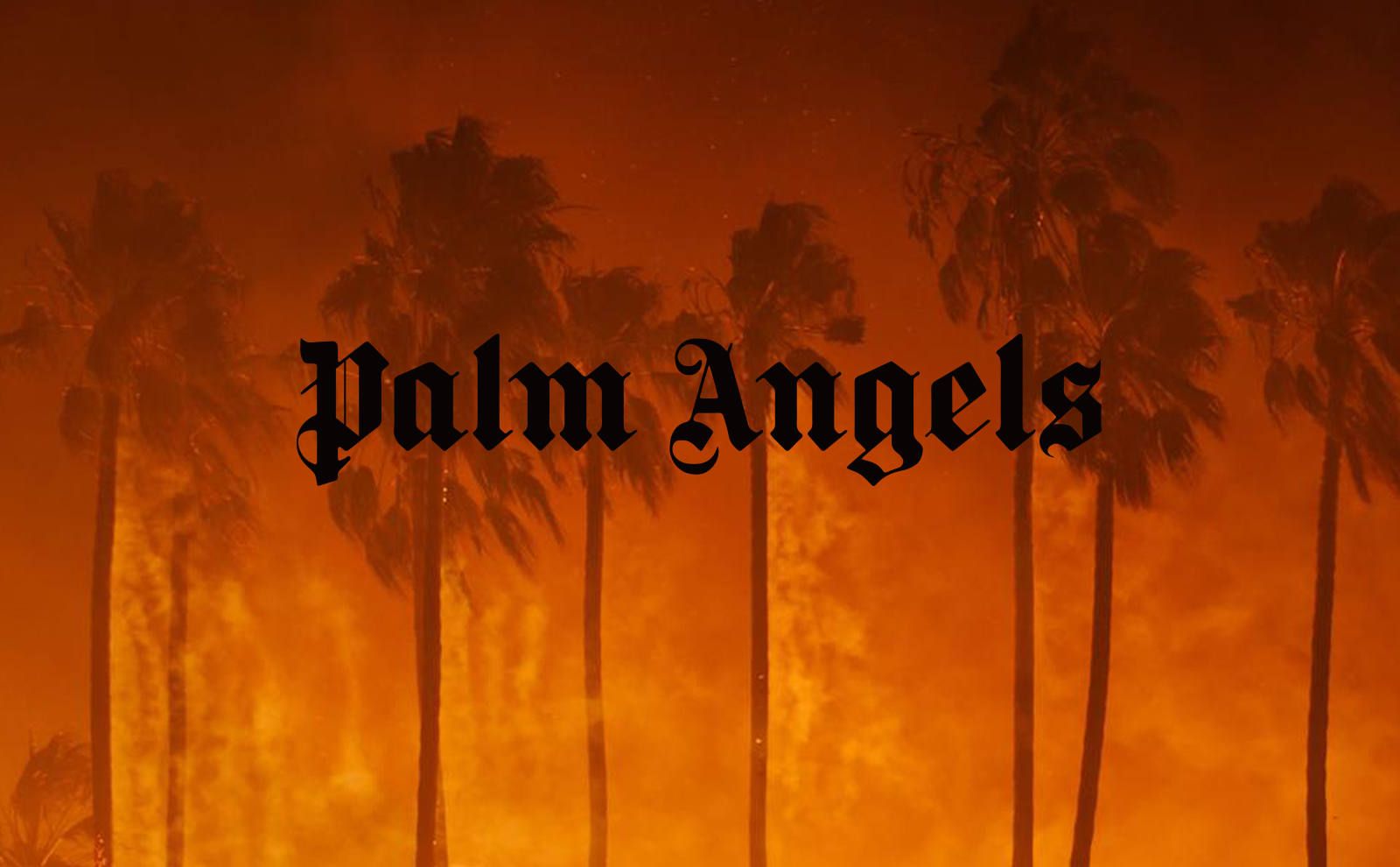 Palm Angels】 取り扱い開始 | gossip