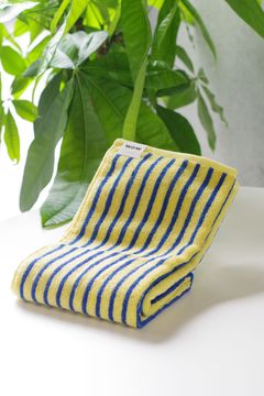 Stripe Face Towel / シルク混 ストライプ フェイスタオル (ブラウン)