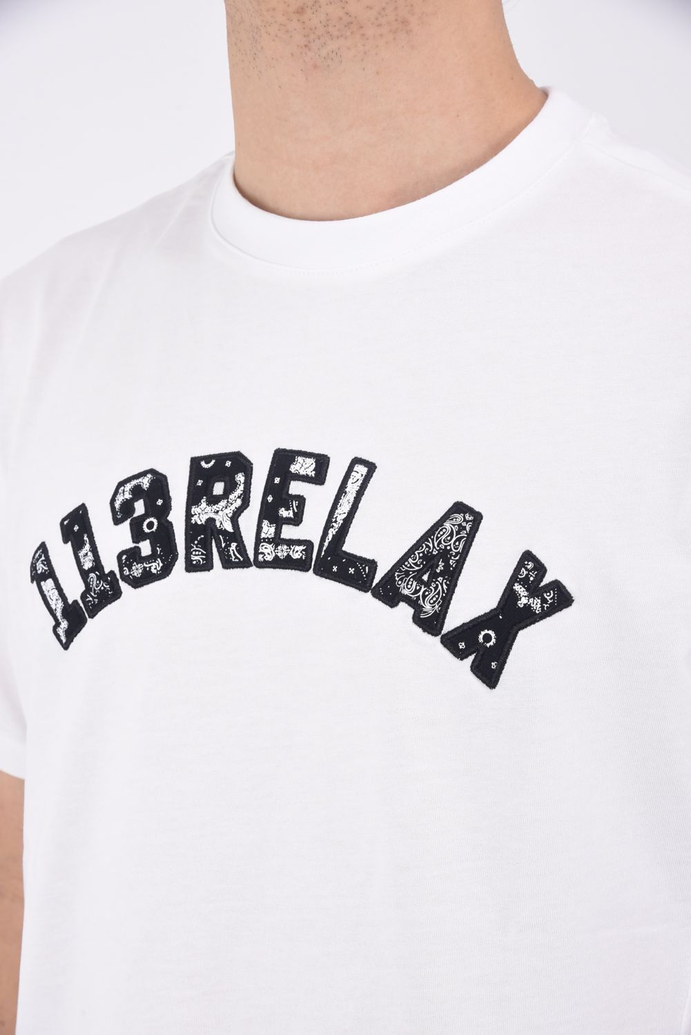 PAISLEY LOGO T-SHIRT / ペイズリーロゴ クルーネックTシャツ ホワイト