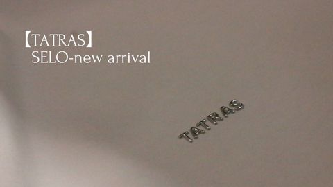 【TATRAS】mercerization　cotton T