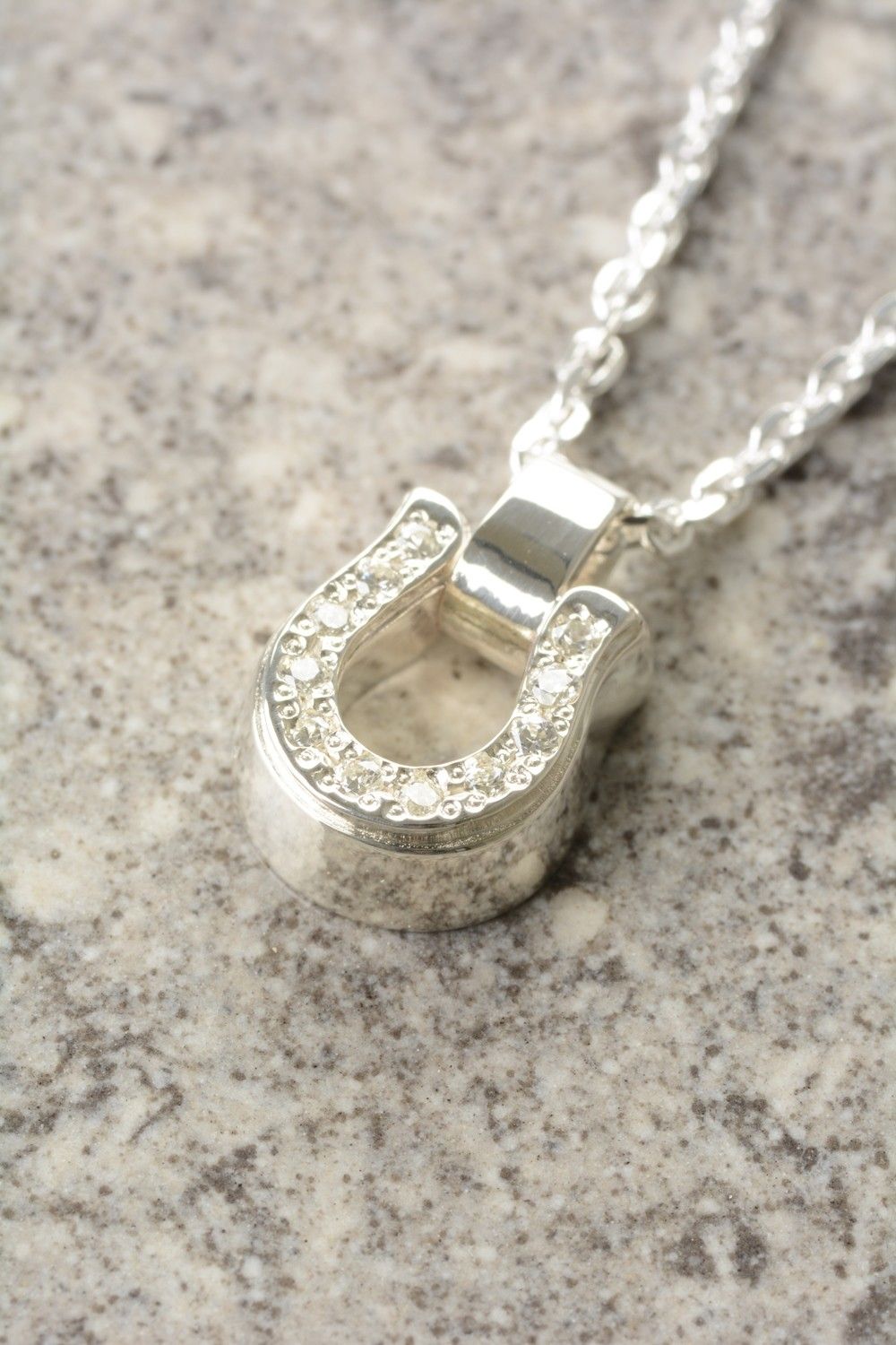 Thick Horseshoe Necklace
