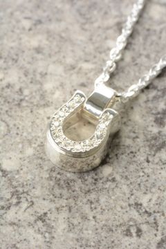 Thick Horseshoe Necklace