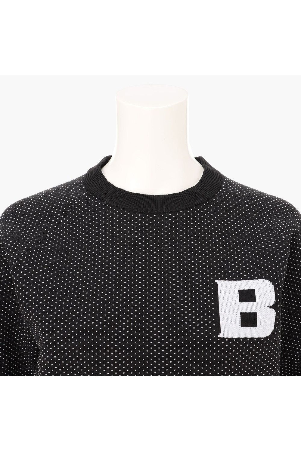 【26AW】【レディース】 WOMEN’S BIRDS EYE KNIT CREWNECK / バーズアイパターン クルーネックニット (ブラック)