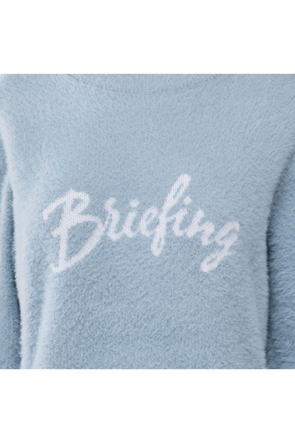 【26AW】【レディース】 WOMEN’S SHAGGY KNIT TURTLENECK / ブランドロゴ タートルネック シャギーニット (サックス)