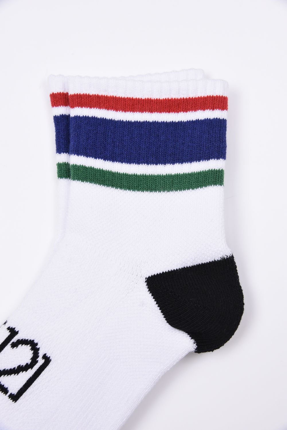 【26AW】 COLOR MID SOCKS / カラーライン ミドルソックス (ブルー)
