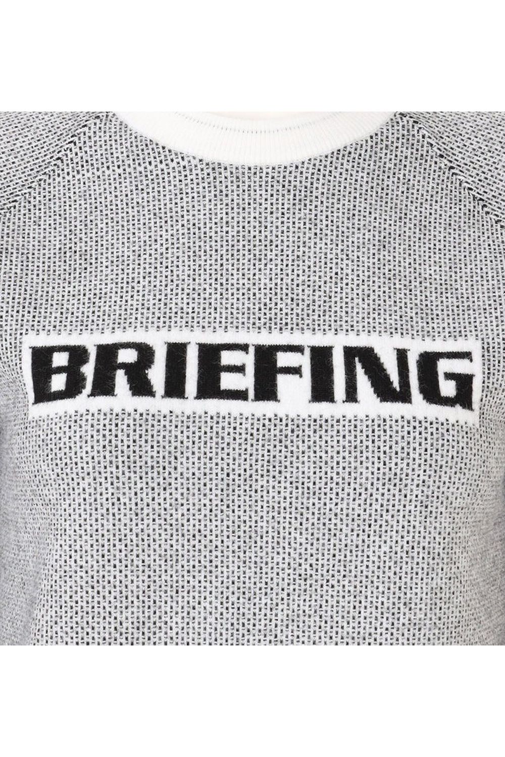 【25AW】【レディース】 WS BIRDS EYE LOGO CREWNECK KNIT / フロントロゴ バーズアイパターン クルーネックニット (ホワイト)