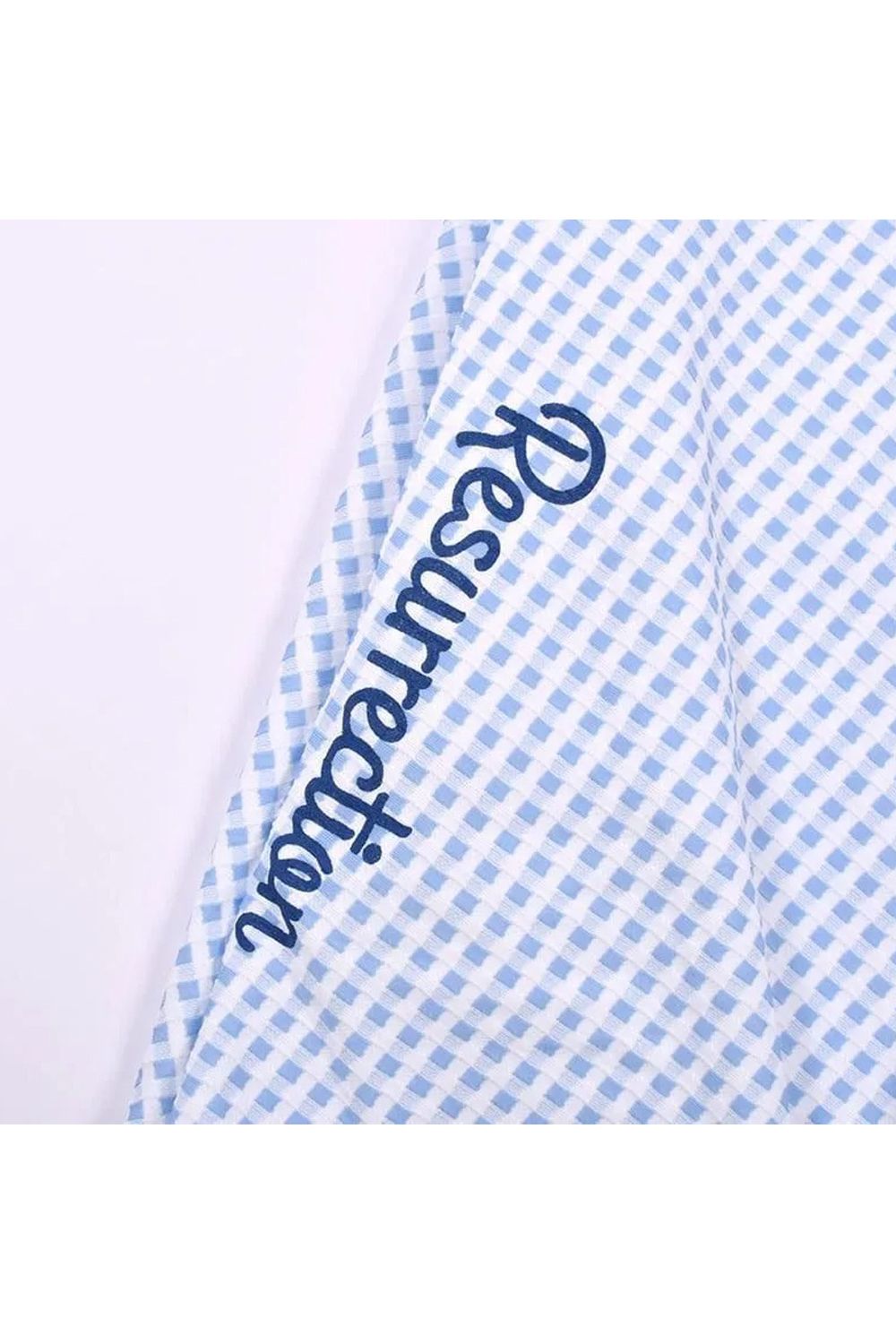 【26SS】【レディース】 GINGHAM CHECK FLARE SKIRT / ギンガムチェック フレアスカート (サックス)*