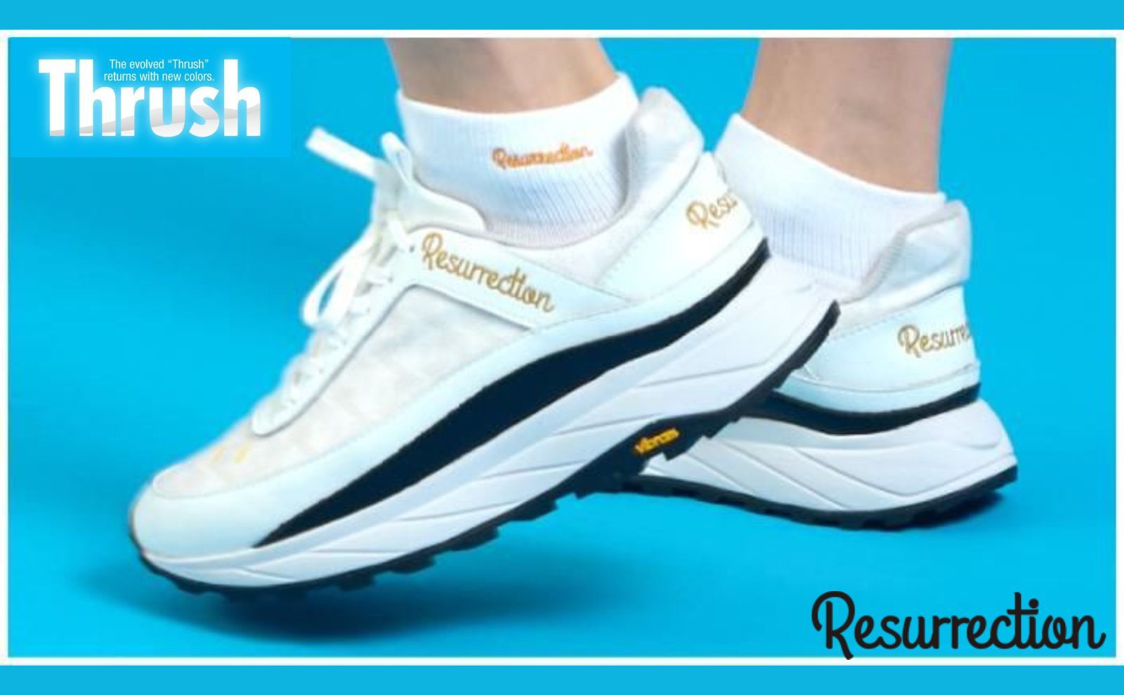 『Thrush』 returns with new colors！